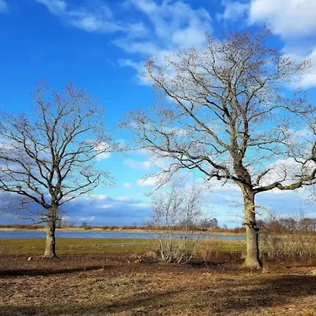 5 Person In Bogense-by Traum Ferienhaus